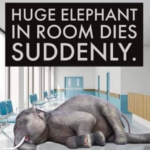 Huge Elephant In The Room Dies Suddenly