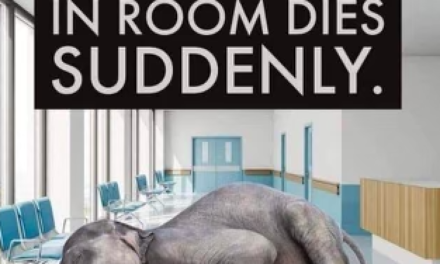Huge Elephant In The Room Dies Suddenly